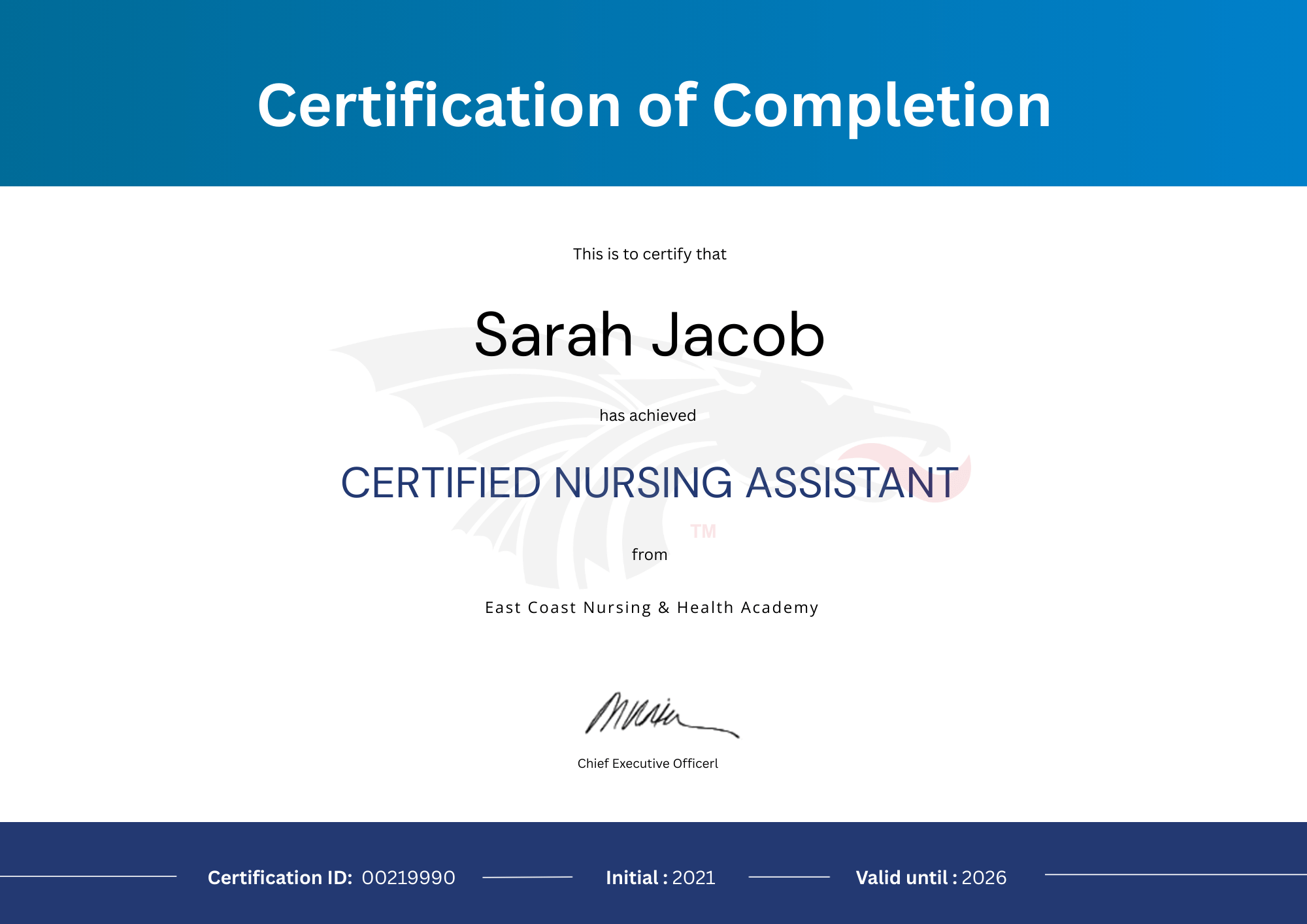 Printable CNA Certificate Template With Blue Border